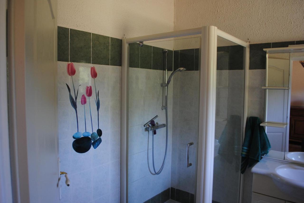 Chez Yvette , C'Est Chouette!! Bed & Breakfast Каркасон Екстериор снимка